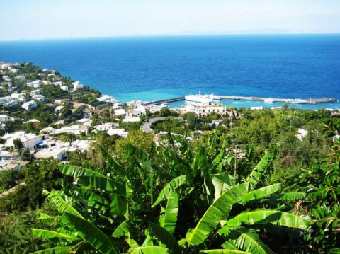 Capri